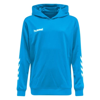 Afbeelding van Hummel Hmlpromo POLY Hoodie Hoodie, Heren, Maat: Large, Diva blue