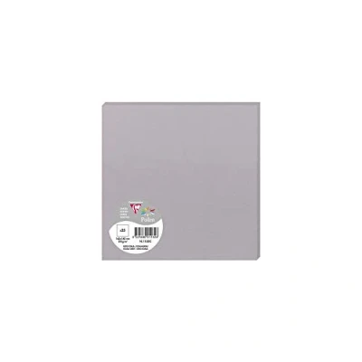 Image de Pollen Carte Simple 210g 160x160 gris koala pqt 25