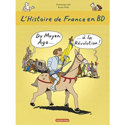 Afbeelding van L&#039;Histoire De France En BD