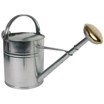 Afbeelding van Talen Tools Gieter 10 liter Metaal Verzinkt 55 x 22.5 38 cm