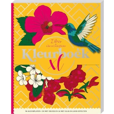 Afbeelding van Kleurboek XL Zilver &amp; Glas in lood effecten