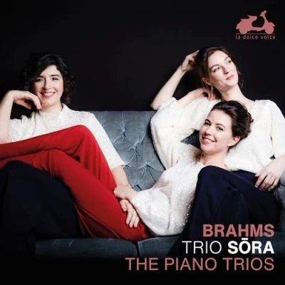 Afbeelding van Trio Sora Brahms: The Piano Trios (2 CD)