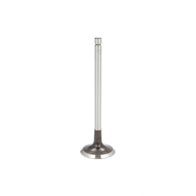 Afbeelding van Ae Inlaatklep V94599