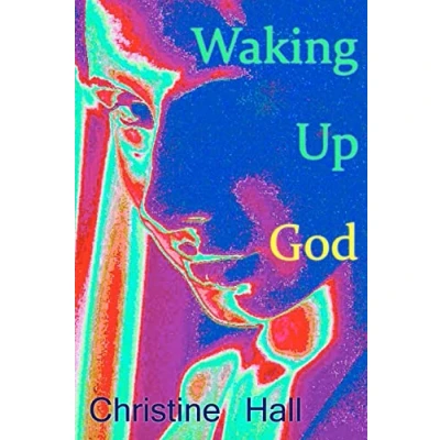 Afbeelding van Waking Up God