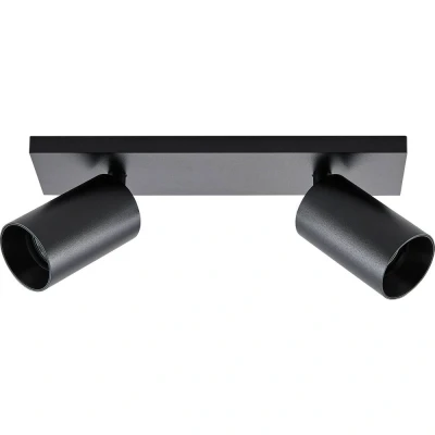 Afbeelding van CAN TILT plafondspot, zwart, 31 x 9 cm, 2 lamps, metaal GU10