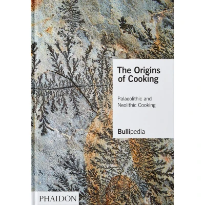 Afbeelding van The Origins of Cooking