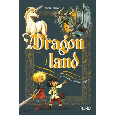 Image de Le secret de la vallée des dragons