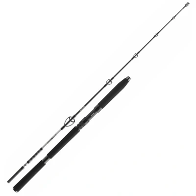 Afbeelding van Daiwa BG Jigger Spin Boothengel 1.70m (150 400g)