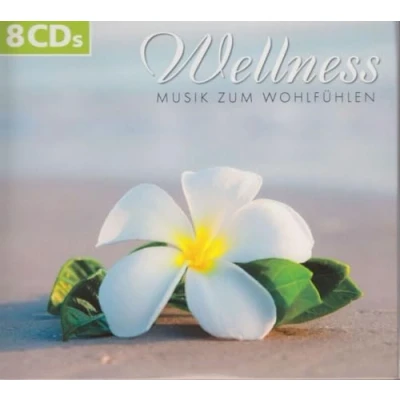 Afbeelding van Various Artists Wellness Musik Zum Wohlfuhlen (8 CD)