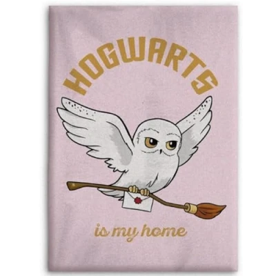 Afbeelding van Harry Potter Fleecedeken Flanel Hogwarts is my home 5407010072600