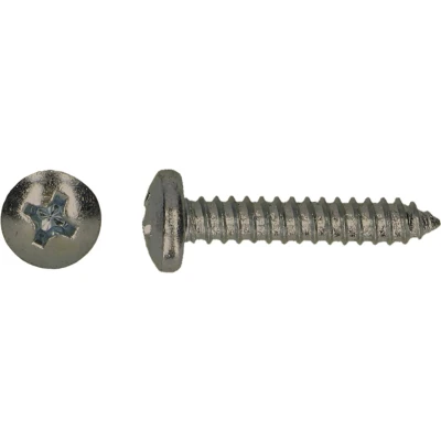Afbeelding van Zelftappers DIN 7981 bolkop RVS 3,9x19 200 stuks