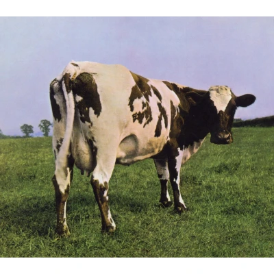 Afbeelding van Atom Heart Mother