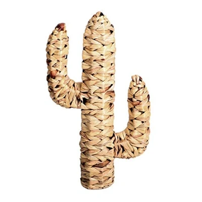 Afbeelding van &quot;NATURAL Living&quot; cactus in waterjerrycan, 45 x 25 D9 cm, beige