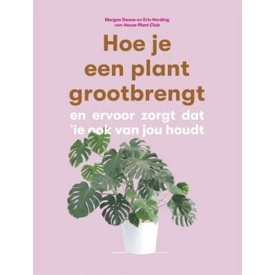 Afbeelding van Hoe je een plant grootbrengt