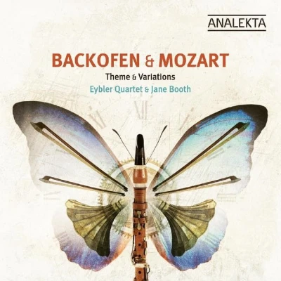 Afbeelding van Theme &amp; Variations (CD)