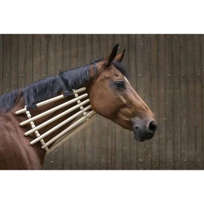Image de Hippotonic Collerette