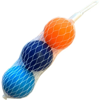 Afbeelding van 3 beachbal ballen in net 04206