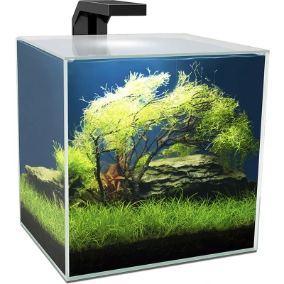 Afbeelding van Ciano Aquarium Cube 15 LED Zwart