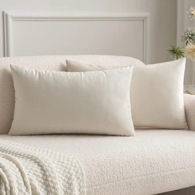 Afbeelding van MIULEE Set van 2 decoratieve kussenhoezen fluweel voor de bank, kussensloop, super glad, zacht, woondecoratie, woonkamer, slaapkamer, rechthoekig, 30 x 50 cm, beige