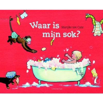 Afbeelding van Waar is mijn sok?
