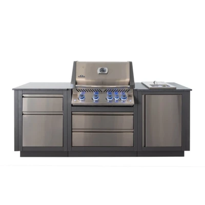 Afbeelding van Napoleon OASIS Compact Buitenkeuken met Inbouw Prestige 500 Gas Barbecue