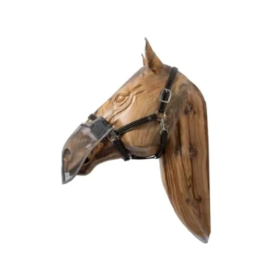 Image de Kentucky Anti Fly Nose Net