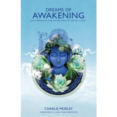 Afbeelding van Dreams Of Awakening