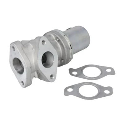 Afbeelding van DELPHI EG10618 12B1 EGR klep Zonder AGR koeler