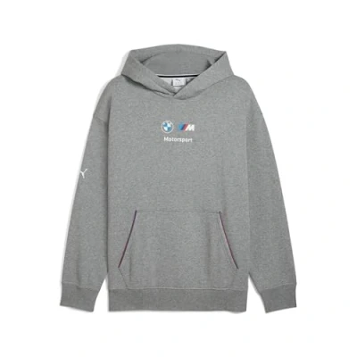 Afbeelding van BMW M Motorsport Essentials fleece hoodie voor Heren, Grijs, Maat S PUMA