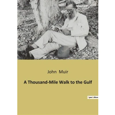Image de A Thousand Mile Walk to the Gulf
