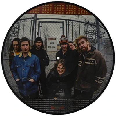 Afbeelding van King Gizzard &amp; The Lizard Wizard Polygondwanaland (LP) (Picture Disc) (Limited Edition)