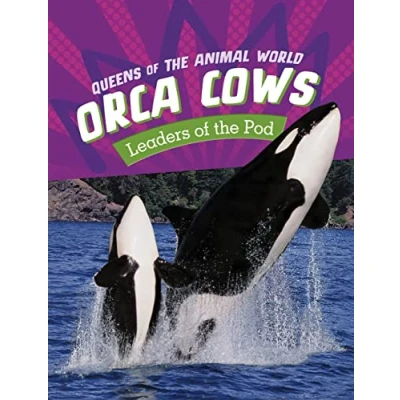 Afbeelding van Orca Cows