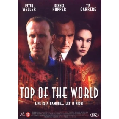 Afbeelding van Top Of The World