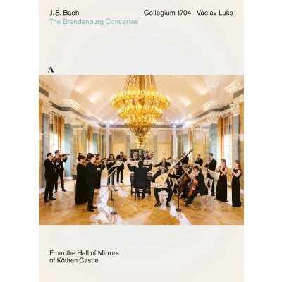 Afbeelding van Collegium 1704 &amp; Václav Luks Brandenburg Concertos 1 6 Bwv 1046 1051 (DVD)