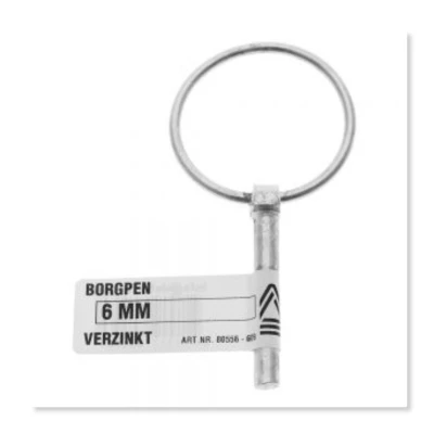 Afbeelding van BORGPEN 6 MM VERZINKT