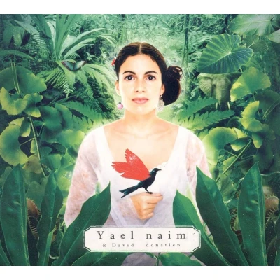 Afbeelding van Yael Naim She Was A Boy (LP)