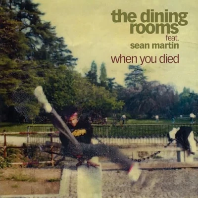 Afbeelding van When You Died (Feat. Sean Martin)