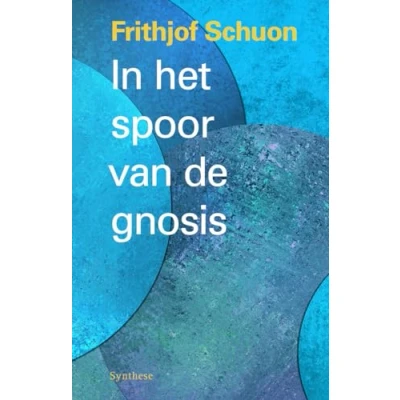 Afbeelding van In het spoor van de gnosis