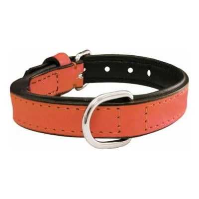 Afbeelding van Dog collar Gloria Padded Coral (35 x 1,5 cm)