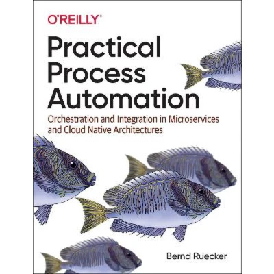 Afbeelding van Practical Process Automation