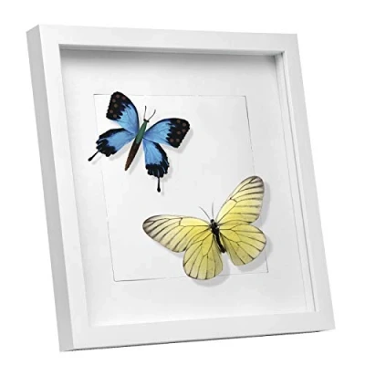 Afbeelding van EUGAD 3D Fotolijst van glas met passe partout, houten frame, schaduwdoos, voor objecten tot 1,5 cm, 20 x wit