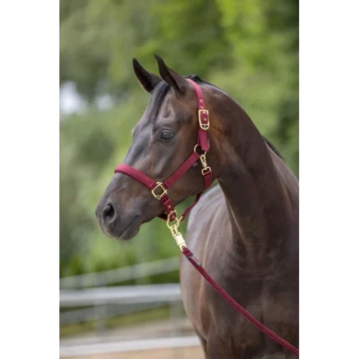 Afbeelding van Covalliero Halster Classy Merlot Full