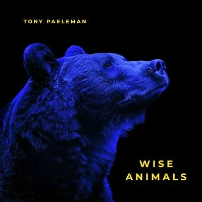 Afbeelding van Tony Paeleman Wise Animals (LP)