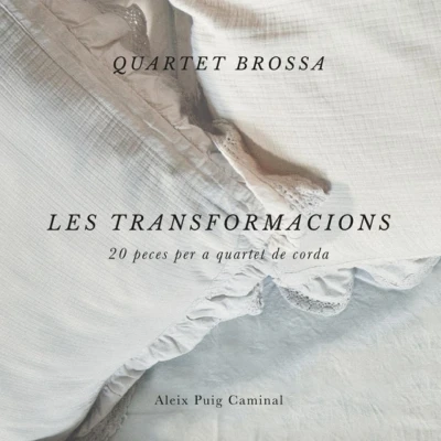 Afbeelding van Quartet Brossa Les Transformacions (CD)