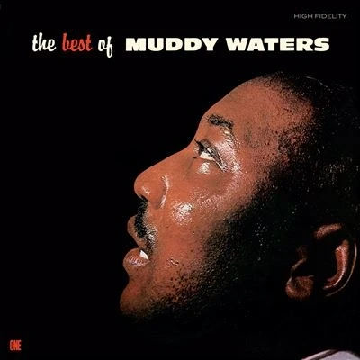 Image de The Best Of Muddy Waters Édition Limitée