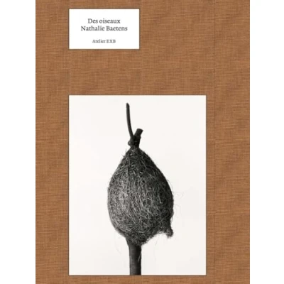 Afbeelding van DES OISEAUX NATHALIE BAETENS (ANGLAIS)