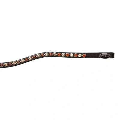 Image de Kavalkade Bride Splendid Courbé Marron Cob