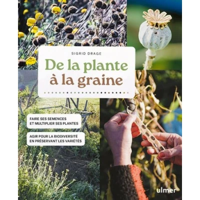 Image de De la plante à graine