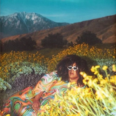 Afbeelding van Brittany Howard What Now (LP)