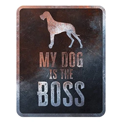 Afbeelding van D&amp;d Home Waakbord Hond Waarschuwingsbord Danish Dog Engels 25x20x0,3cm Meerkleurig 1st